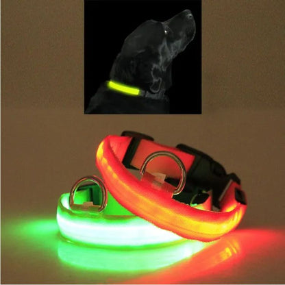 PurePaw™ - Ultra-Bright LED Safety Collar.