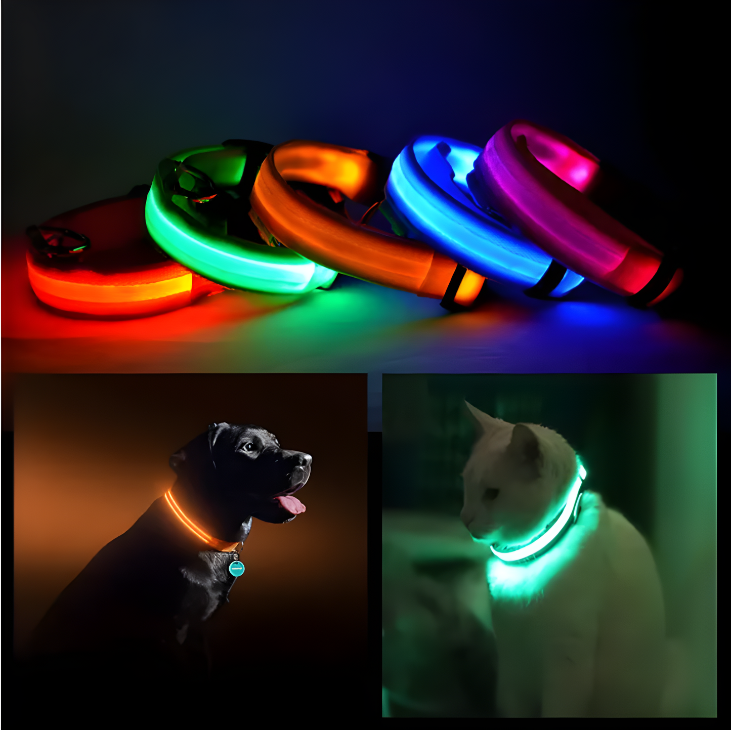PurePaw™ - Ultra-Bright LED Safety Collar.