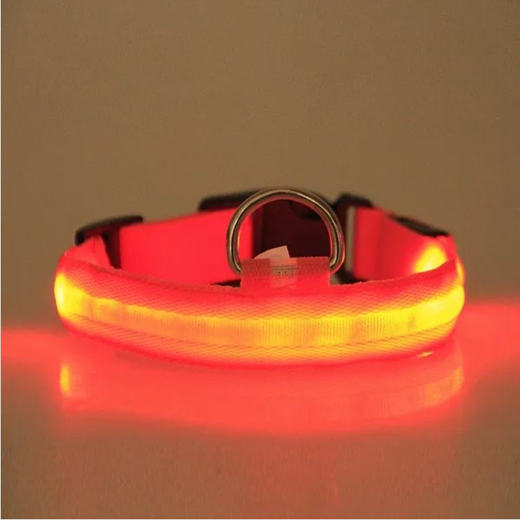 PurePaw™ - Ultra-Bright LED Safety Collar.