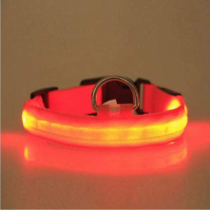 PurePaw™ - Ultra-Bright LED Safety Collar.