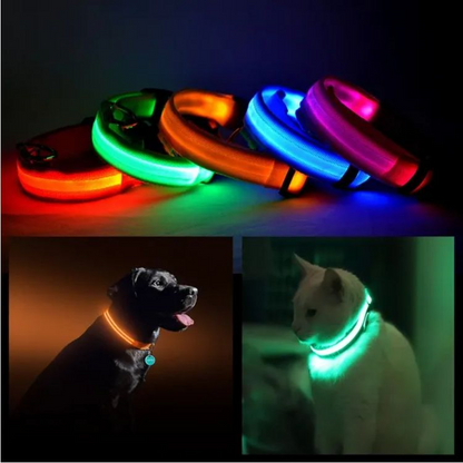 PurePaw™ - Ultra-Bright LED Safety Collar.