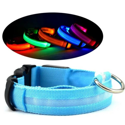 PurePaw™ - Ultra-Bright LED Safety Collar.