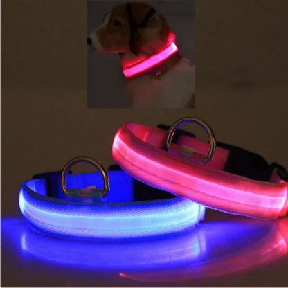 PurePaw™ - Ultra-Bright LED Safety Collar.